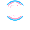 Transgender Trans LGBT Pride