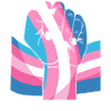 Transgender Trans LGBT Pride
