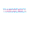 Transgender Trans LGBT Pride