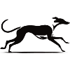 Design élégant de lévrier