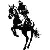 Équitation - Equine Desig