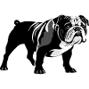 Bulldog - Pet Sticker