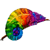 Regenbogenchamaeleon