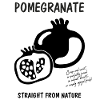 Pomegranate Nature Art