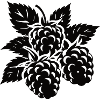 Simple blackberry design – natural elegance