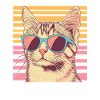 Retro cat with sunglasses