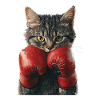 Katze