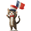 Katze