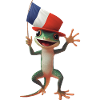 Gecko