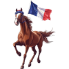Pferd