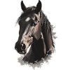 Pferd