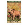 Cochon Cochon