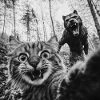 Humor Werewolf Selfie Cat