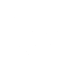 Cat Petting Guide