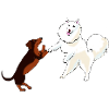 Dancing Dogs C