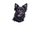 Hundemama Vorsicht
