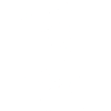 1981 1981 1981