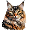 Norwegian cat