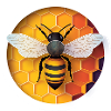 Bee Beekeeper