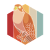 Falcon Chirp Falconry