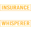 Insurance Insurance Agent