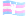 Transgender Trans LGBT Pride