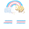Transgender Trans LGBT Pride