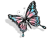 Transgender Trans LGBT Pride