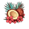 Tropical Coconut Blossom