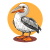 Cartoon Pelican Bird