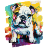 Bulldog Fighting Dog