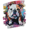 Bulldog Fighting Dog
