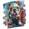 Bulldog Fighting Dog