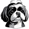 Shih Tzu - Pet Dog Sticker