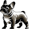 Bouledogue français - Pet Dog Design
