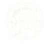Bicycle Skull Gear Adventure