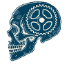 Bicycle Lover Skull Gear Art