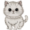 Persian cat