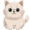 Persian cat