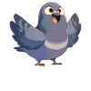 Pigeons Pigeon