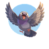 Pigeons Pigeon