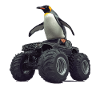 Pinguin
