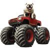 Hund