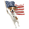 Jack Russell Terrier