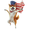 Shiba Inu