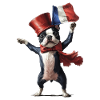 Boston Terrier
