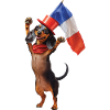Dackel