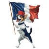Jack Russell Terrier