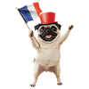 Mops