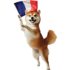 Shiba Inu